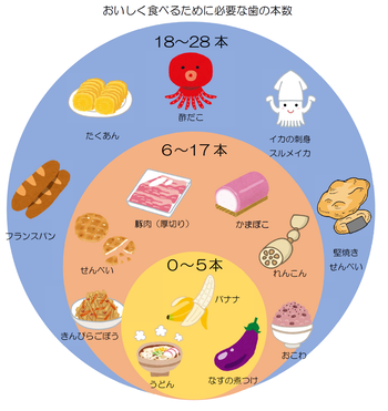 おいしく食べるために必要な歯の本数