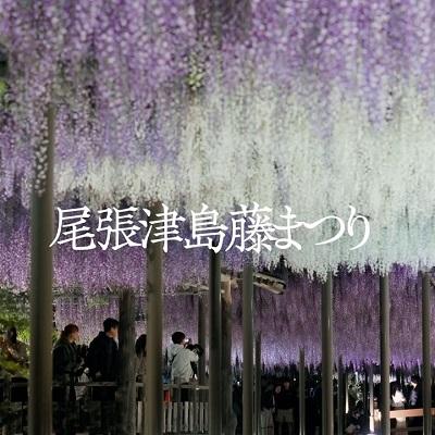 トピックス画像その10