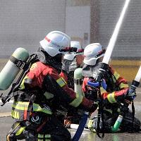 トピックス画像その11