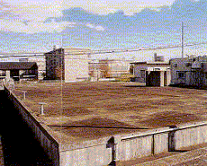 haisuichi(matakichi)